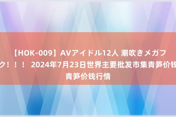 【HOK-009】AVアイドル12人 潮吹きメガファック!!! 2024年7月23日世界主要批发市集青笋价钱行情