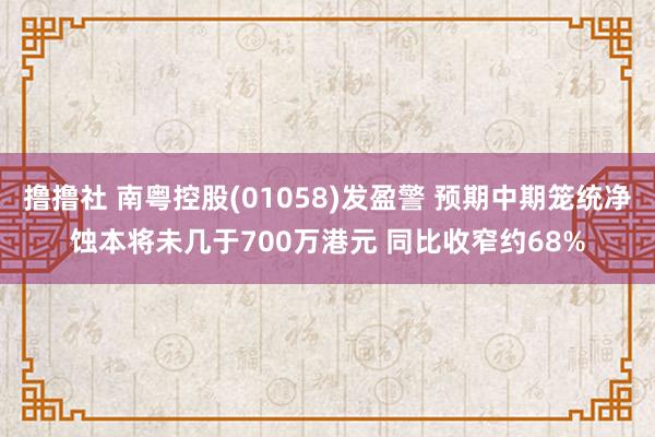 撸撸社 南粤控股(01058)发盈警 预期中期笼统净蚀本将未几于700万港元 同比收窄约68%