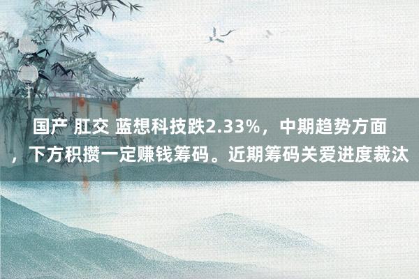 国产 肛交 蓝想科技跌2.33%，中期趋势方面，下方积攒一定赚钱筹码。近期筹码关爱进度裁汰