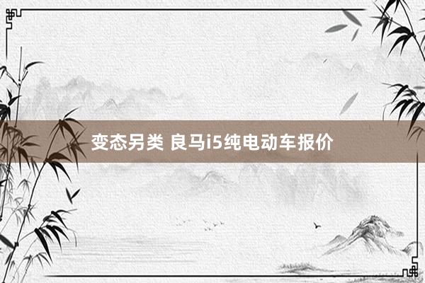 变态另类 良马i5纯电动车报价
