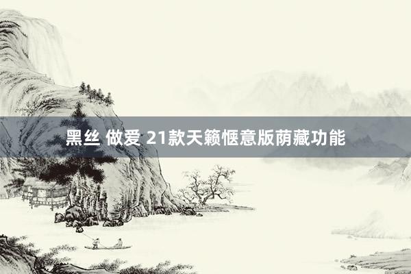 黑丝 做爱 21款天籁惬意版荫藏功能