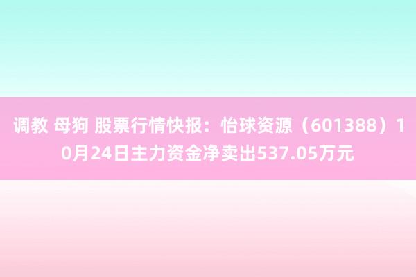 调教 母狗 股票行情快报：怡球资源（601388）10月24日主力资金净卖出537.05万元