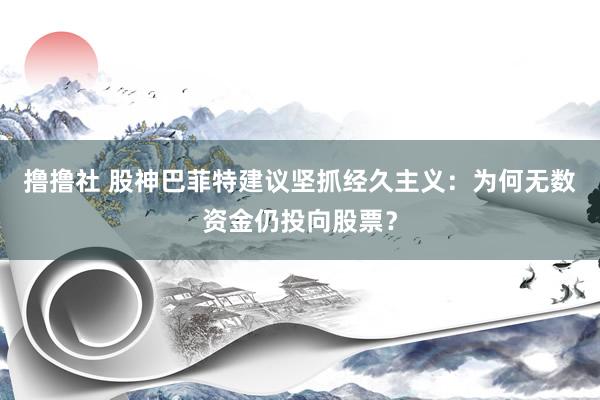 撸撸社 股神巴菲特建议坚抓经久主义：为何无数资金仍投向股票？