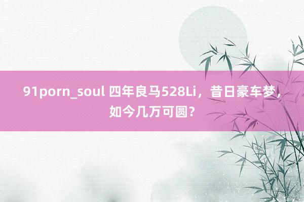 91porn_soul 四年良马528Li，昔日豪车梦，如今几万可圆？