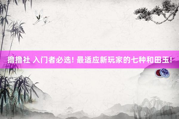 撸撸社 入门者必选! 最适应新玩家的七种和田玉!